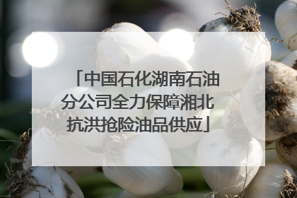 中国石化湖南石油分公司全力保障湘北抗洪抢险油品供应