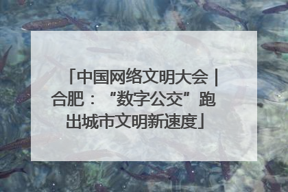 中国网络文明大会｜合肥：“数字公交”跑出城市文明新速度