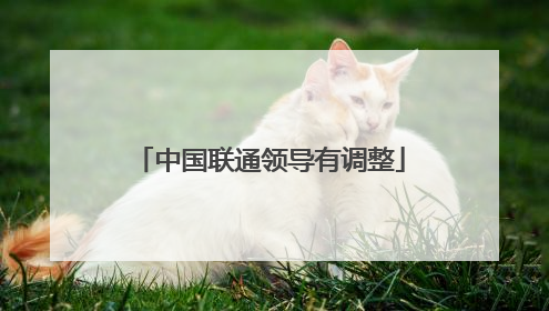 中国联通领导有调整