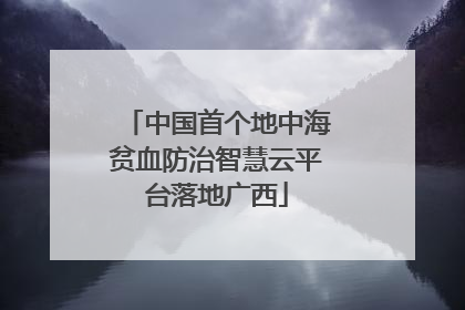 中国首个地中海贫血防治智慧云平台落地广西