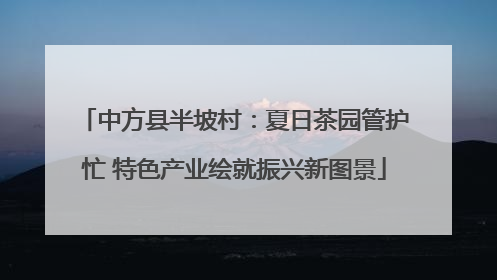 中方县半坡村：夏日茶园管护忙 特色产业绘就振兴新图景