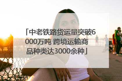 中老铁路货运量突破6000万吨 跨境运输商品种类达3000余种