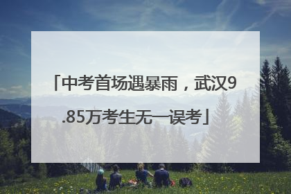 中考首场遇暴雨，武汉9.85万考生无一误考