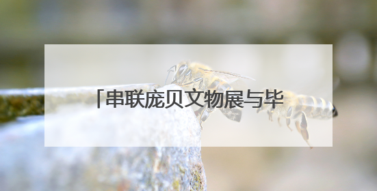 串联庞贝文物展与毕加索艺术展“两馆特展专线车”在南宁发车