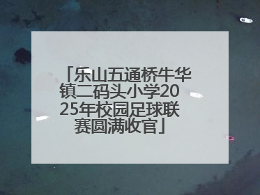 乐山五通桥牛华镇二码头小学2025年校园足球联赛圆满收官