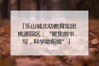 乐山城北幼教育集团桃源园区：“聚焦前书写，科学助衔接”