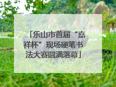 乐山市首届“嘉祥杯”现场硬笔书法大赛圆满落幕