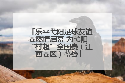 乐平弋阳足球友谊赛燃情启幕 为弋阳“村超”全国赛（江西赛区）蓄势