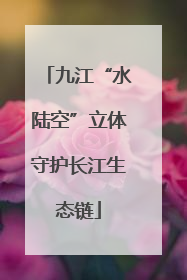 九江“水陆空”立体守护长江生态链