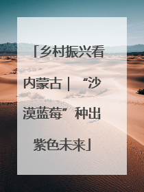 乡村振兴看内蒙古｜“沙漠蓝莓”种出紫色未来