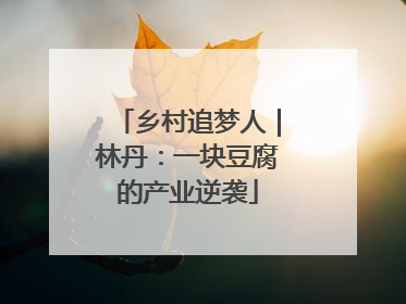乡村追梦人｜林丹：一块豆腐的产业逆袭
