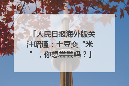 人民日报海外版关注昭通：土豆变“米”，你想尝尝吗？