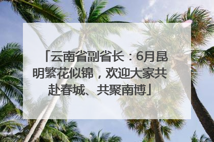 云南省副省长：6月昆明繁花似锦，欢迎大家共赴春城、共聚南博