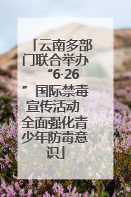 云南多部门联合举办“6·26”国际禁毒宣传活动 全面强化青少年防毒意识