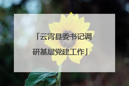 云霄县委书记调研基层党建工作