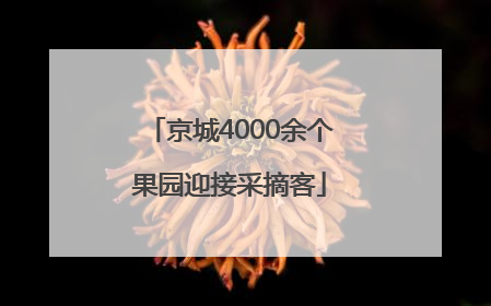 京城4000余个果园迎接采摘客