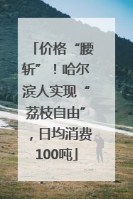 价格“腰斩”！哈尔滨人实现“荔枝自由”，日均消费100吨