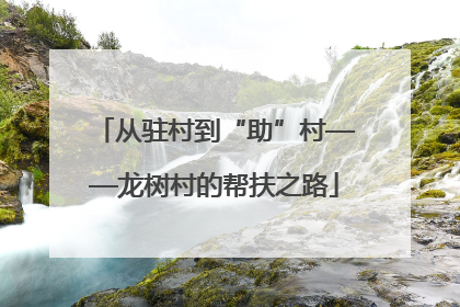 从驻村到“助”村——龙树村的帮扶之路