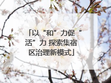 以“和”力促“活”力 探索集宿区治理新模式