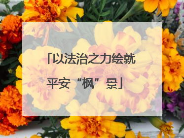 以法治之力绘就平安“枫”景