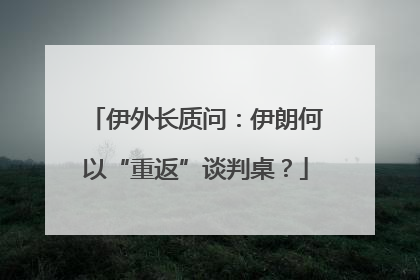 伊外长质问：伊朗何以“重返”谈判桌？