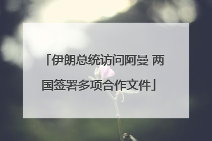 伊朗总统访问阿曼 两国签署多项合作文件