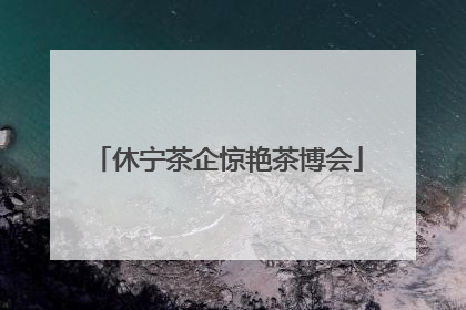 休宁茶企惊艳茶博会