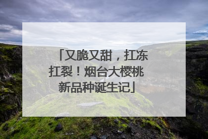 又脆又甜，扛冻扛裂！烟台大樱桃新品种诞生记