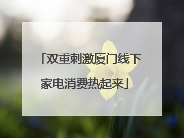 双重刺激厦门线下家电消费热起来