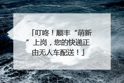 叮咚！顺丰“萌新”上岗，您的快递正由无人车配送！