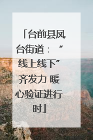 台前县凤台街道：“线上线下”齐发力 暖心验证进行时