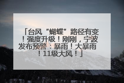 台风“蝴蝶”路径有变！强度升级！刚刚，宁波发布预警：暴雨！大暴雨！11级大风！