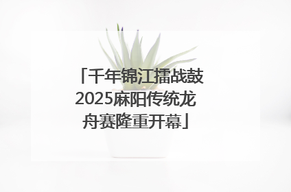 千年锦江擂战鼓 2025麻阳传统龙舟赛隆重开幕