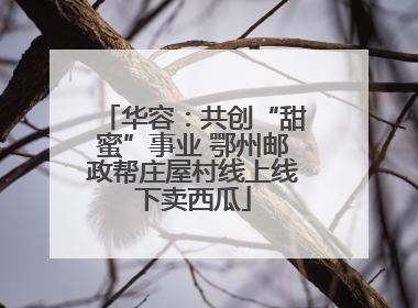 华容：共创“甜蜜”事业 鄂州邮政帮庄屋村线上线下卖西瓜