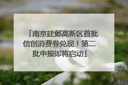 南京建邺高新区首批信创消费券兑现！第二批申报即将启动