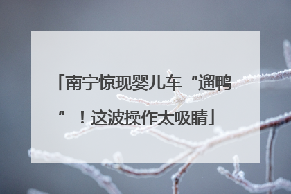 南宁惊现婴儿车“遛鸭”！这波操作太吸睛