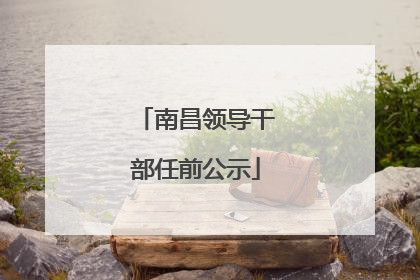 南昌领导干部任前公示