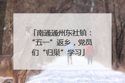 南通通州东社镇：“五一”返乡，党员们“归巢”学习