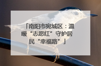 南阳市宛城区：温暖“志愿红”守护居民“幸福路”