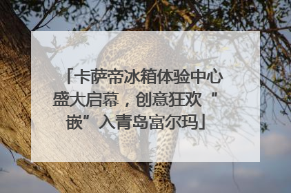 卡萨帝冰箱体验中心盛大启幕，创意狂欢“嵌”入青岛富尔玛