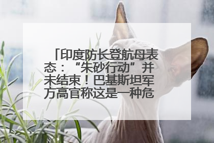 印度防长登航母表态：“朱砂行动”并未结束！巴基斯坦军方高官称这是一种危险的状况……
