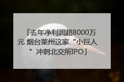 去年净利润超8000万元 烟台莱州这家“小巨人”冲刺北交所IPO
