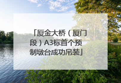 厦金大桥（厦门段）A3标首个预制墩台成功吊装