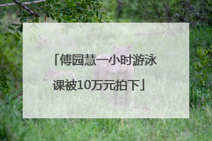 傅园慧一小时游泳课被10万元拍下