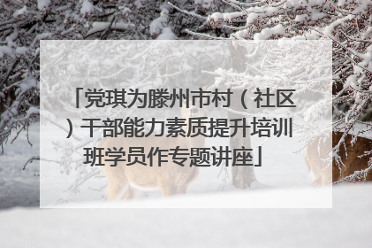 党琪为滕州市村（社区）干部能力素质提升培训班学员作专题讲座