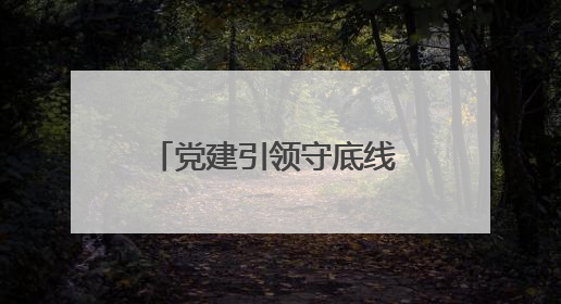 党建引领守底线 药品安全筑根基