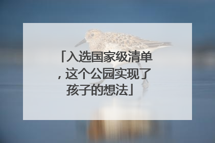 入选国家级清单，这个公园实现了孩子的想法