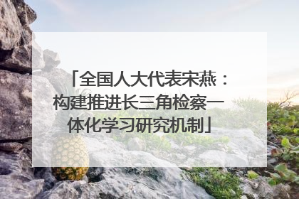 全国人大代表宋燕：构建推进长三角检察一体化学习研究机制