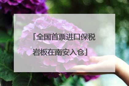 全国首票进口保税岩板在南安入仓