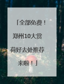 全部免费！郑州10大赏荷好去处推荐来啦！